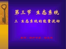 生态系统的能量流动说课课件
