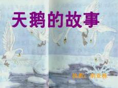 天鹅的故事课件