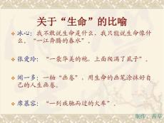 《我的四季》课件