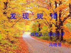 小学三年级数学课件   探索规律