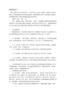 [精彩]葡萄的加工