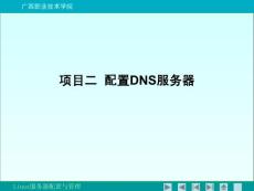 Linux服务器配置 项目二 DNS服务器的配置