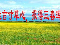 八年级政治上册 孝敬父母课件 教科版