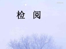 小学语文 <<检阅>> 课件