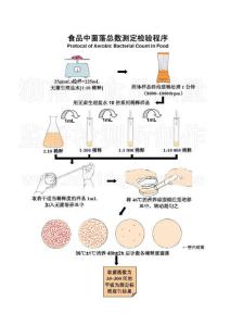 食品中菌落总数测定检验程序