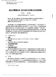 藤仓赤霉菌丝体_原生质体及其融合的电镜观察_李武军