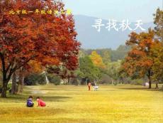 一年级语文上册 寻找秋天课件 北京版