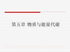 运动生理学---第五章_物质与能量代谢