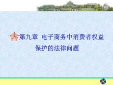 杨坚争主编 高等教育出版社07电子商务中消费者权益保护的法律问题