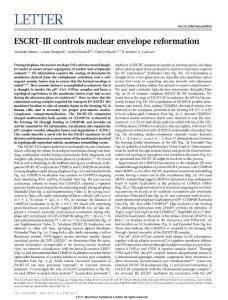 [PDF] ESCRT-III controls nuclear envelope reformation