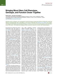 Bringing Blood Stem Cell Phenotype Genotype and Function Closer Together