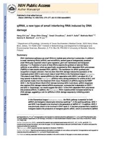 【miRNA 研究】qiRNA, a new type of small interfering RNA induced by DNA damage