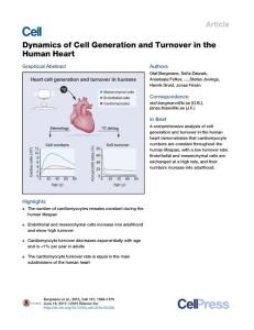 Dynamics of Cell Generation and Turnover in the Human Heart