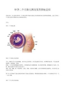 怀孕二个月胎儿图及发育指标总结