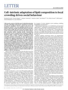 Cell-intrinsic adaptation of lipid composition to local crowding drives social behaviour