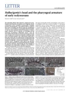 Hallucigenia’s head and the pharyngeal armature of early ecdysozoans