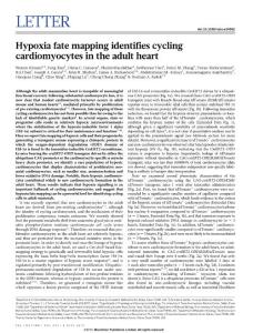 Hypoxia fate mapping identifies cycling cardiomyocytes in the adult heart