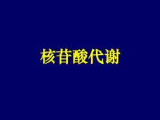 生物化学理论课课件/04核苷酸代谢2010