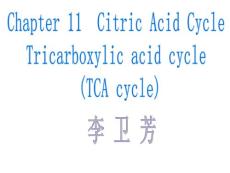 生物化学理论课课件/11TCA2010
