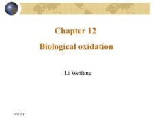 生物化学理论课课件/12oxidative phosphorylation2010