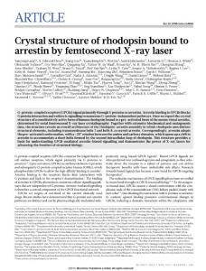 Crystal structure of rhodopsin bound to arrestin by femtosecond X-ray laser