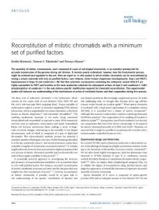 ncb3187_Reconstitution of mitotic chromatids with a minimum set of purified factors
