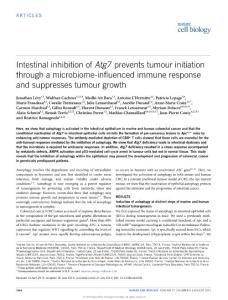 ncb3206_Intestinal inhibition of Atg7 prevents tumour initiation through a microbiome-influenced immune response and suppresses tumour growth