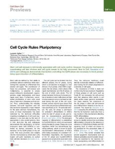 Cell Cycle Rules Pluripotency