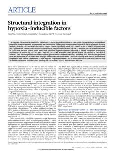 nature14883_Structural integration in hypoxia-inducible factors