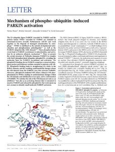 nature14879_Mechanism of phospho-ubiquitin-induced PARKIN activation