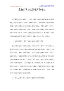 企业公司综合治理工作总结