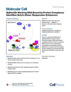 SpDamID Marking DNA Bound by Protein Complexes Identifies Notch-Dimer Responsive Enhancers