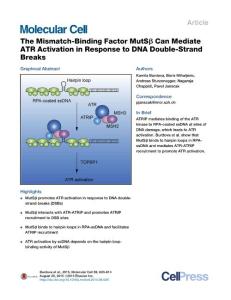 The Mismatch-Binding Factor MutSβ Can Mediate ATR Activation in Response to DNA Double-Strand Breaks