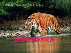 《动物治病办法多》课件（湘教版三年级上册语文课件）