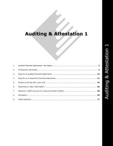 Auditing－2009Aicpa