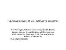 Functional delivery of viral miRNAs via exosomes