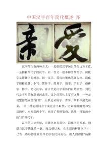 中国汉字百年简化概述 图