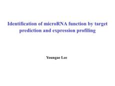 Identification of microRNA function by target  prediction and expression profiling