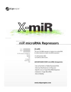 microRNA 概述