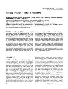 The deep evolution of metazoan microRNAs
