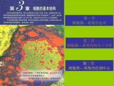 3-3 细胞核-系统的控制中心