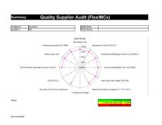 00191-DELL中文版QPA(Quality Supplier Audit (FlexMCx))