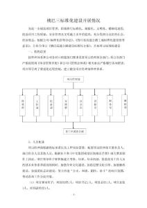 桃巴三标准化建设开展情况总结