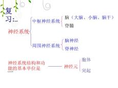 神经调节的基本方式ppt