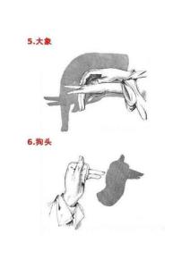 中国传统文化手影技术儿时玩耍玩法 (2)