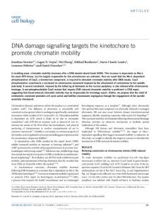 ncb3308-DNA damage signalling targets the kinetochore to promote chromatin mobility