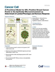 Cancer Cell-2016-A Preclinical Model for ERα-Positive Breast Cancer Points to the Epithelial Microenvironment as Determinant of Luminal Phenotype and Hormone Response