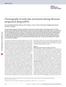 nsmb.3193-Choreography of molecular movements during ribosome progression along mRNA