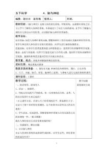 青岛版五年级下册科学4、脑与神经 教案 教学设计 说课稿 课件