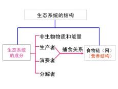 生物;5.2《生态系统的能量流动》课件（新人教版必修3）